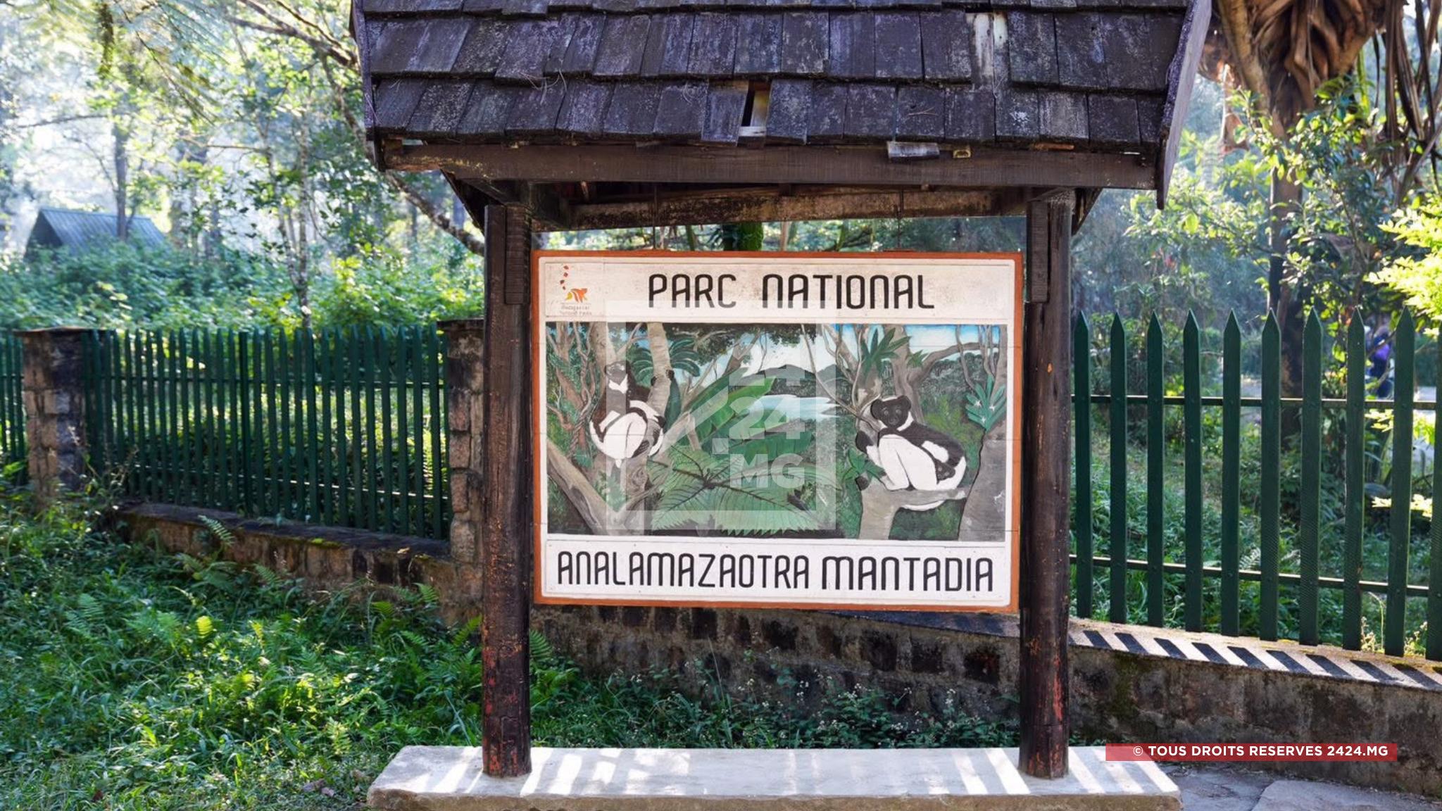 GESTION D’AIRE PROTÉGÉE – Difficile équilibre entre précarité financière et tensions communautaires au sein du Parc national d’Analamazaotra