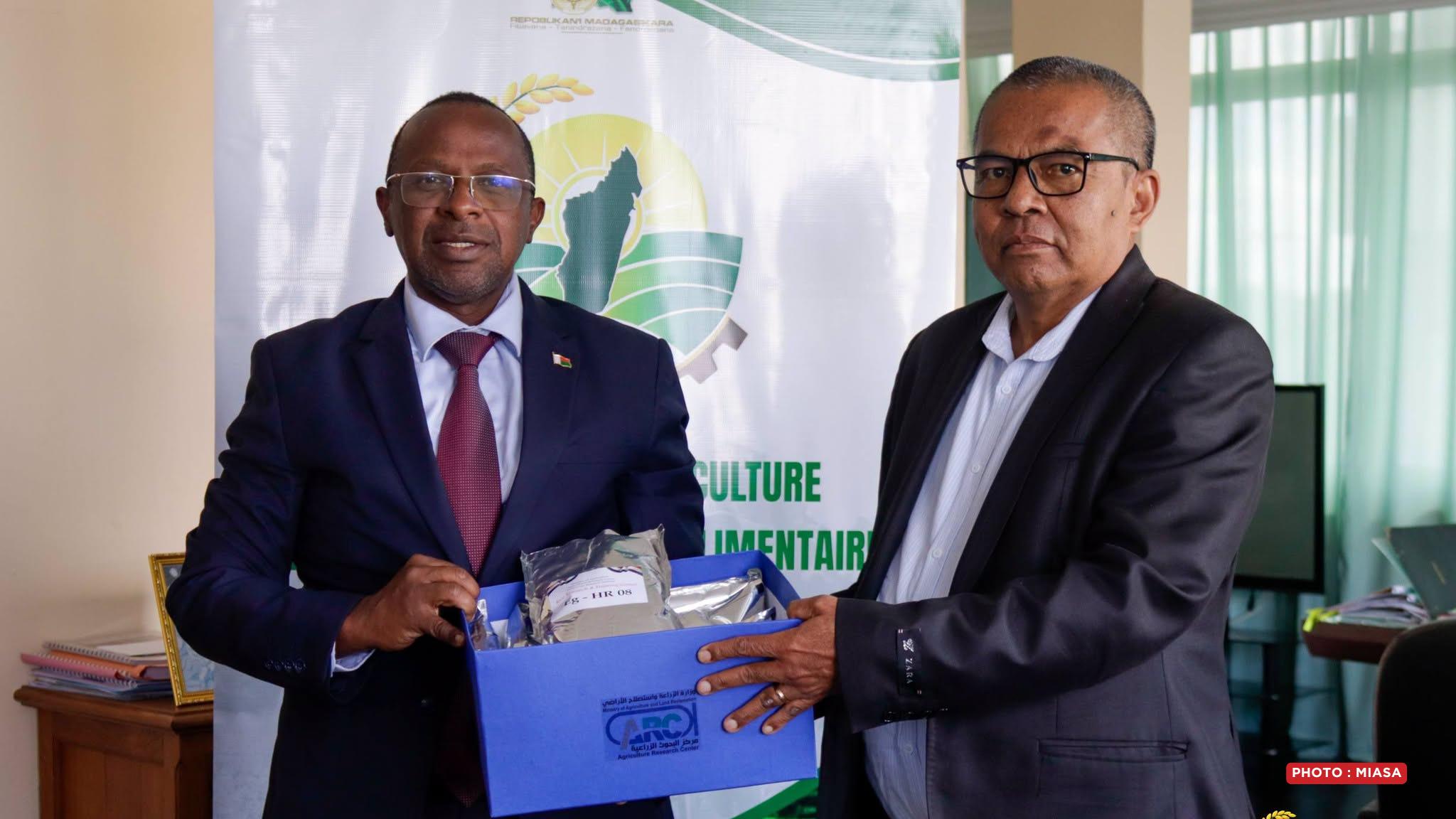 RIZICULTURE – Les semences mères améliorées égyptiennes remises au Fofifa pour contrôle sanitaire, mise en quarantaine et expérimentation