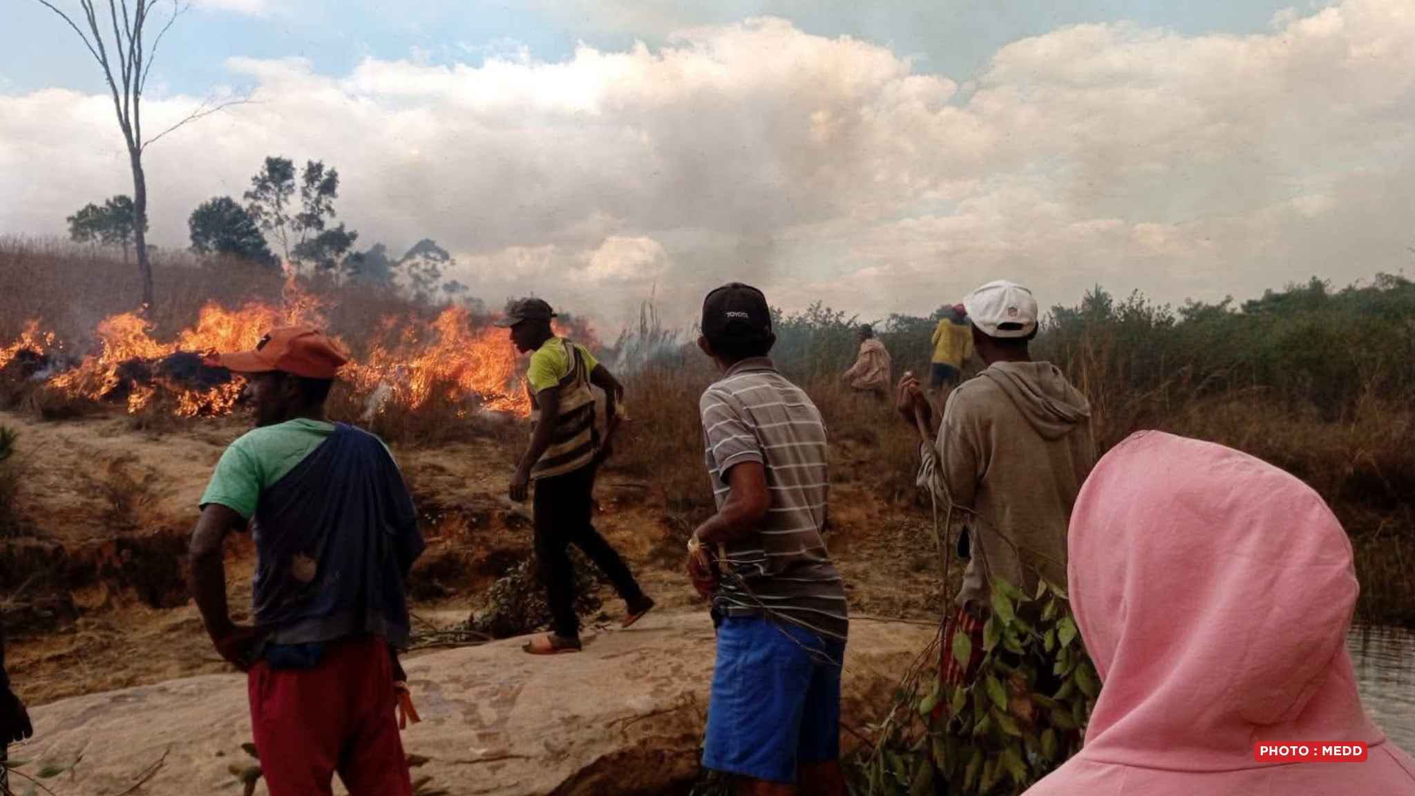 INCENDIE – Près de dix hectares de brousse et une plantation d’eucalyptus ravagés par les flammes à Andranofeno Sud sur la RN4