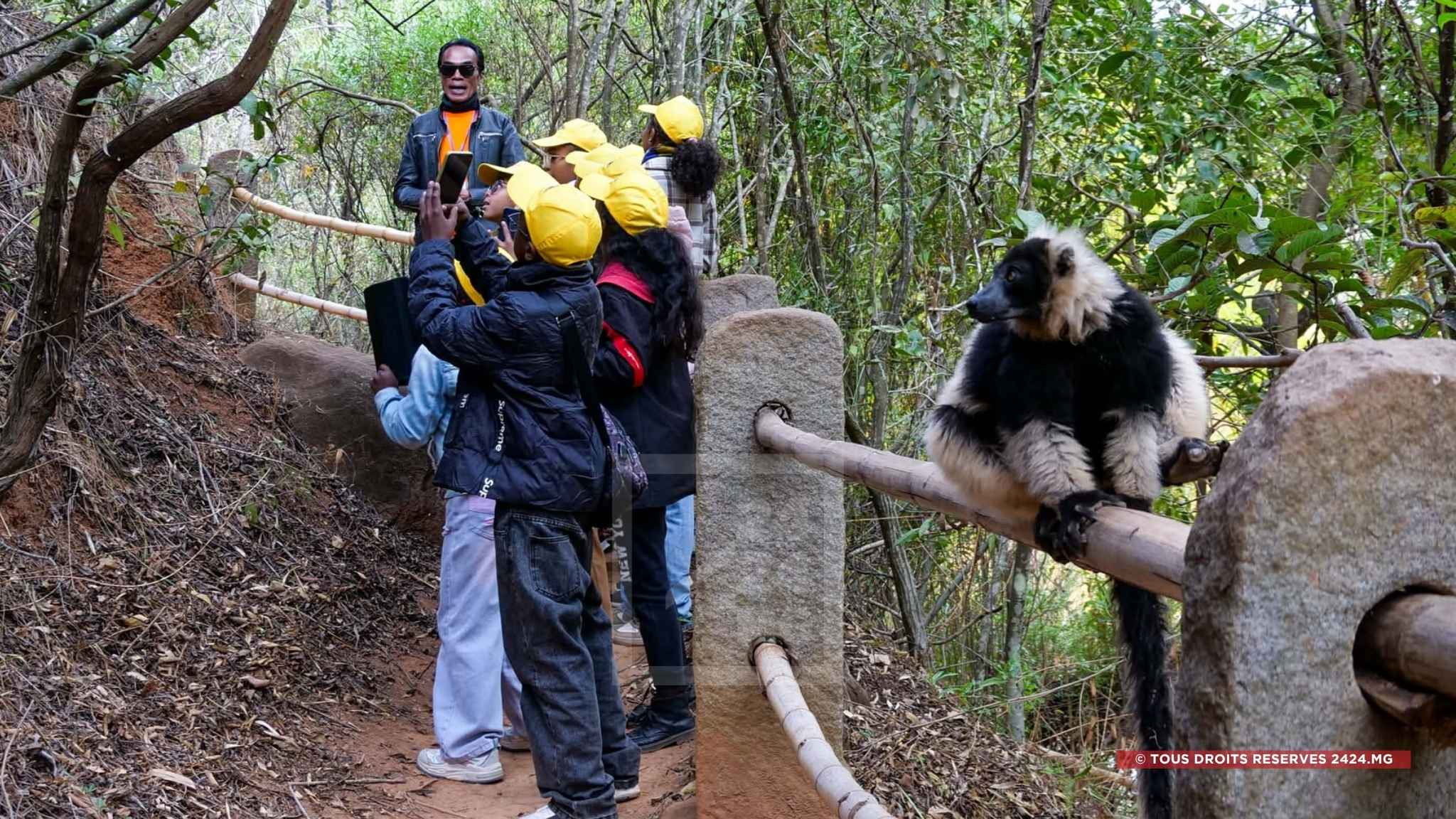 EDUCATION – Plus de 37 500 enfants sensibilisés à l’environnement grâce au partenariat entre Colas Madagascar et Lemurs’ Park