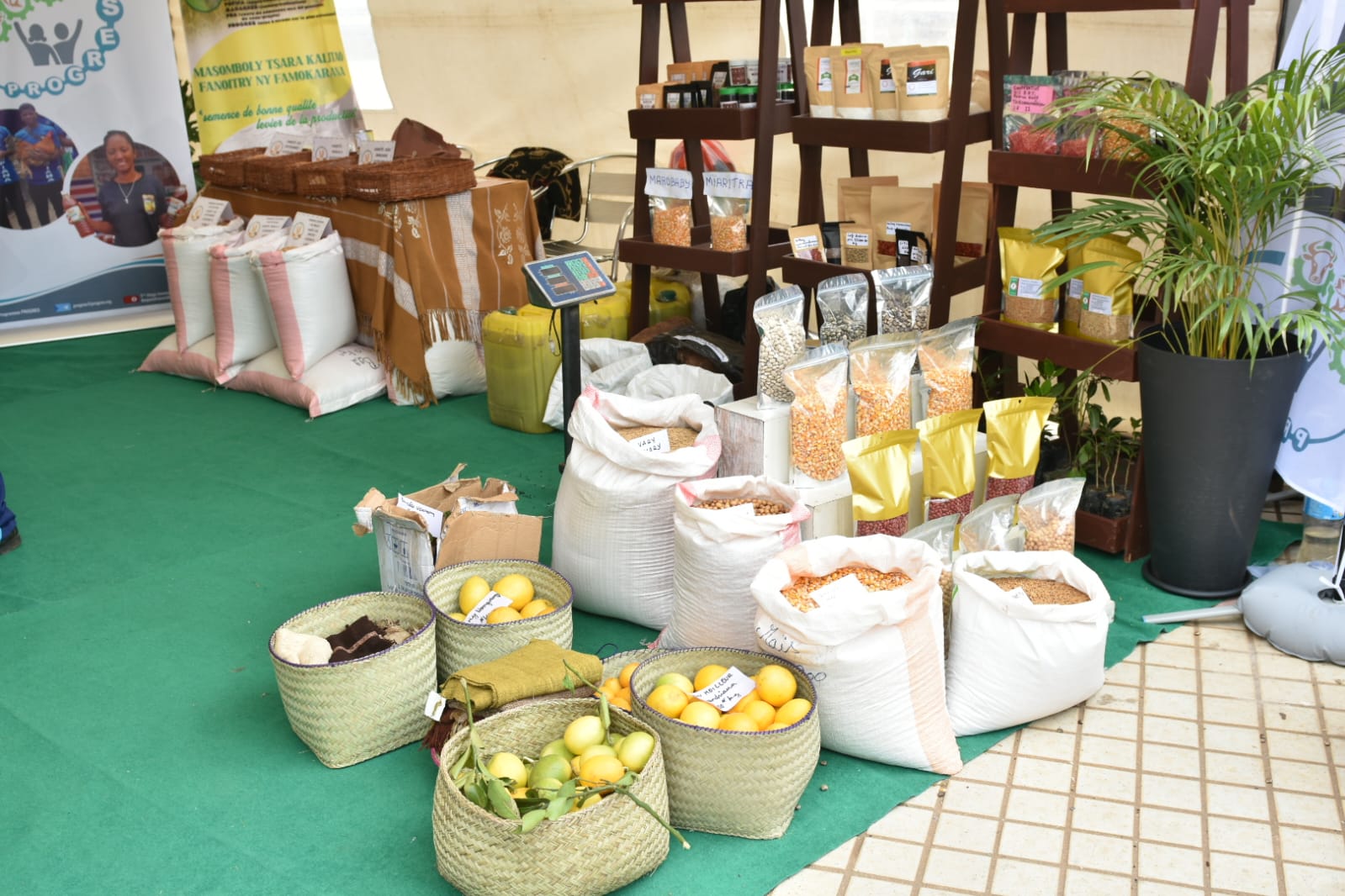 PRODUCTION – Les acteurs appelés à accélérer la transformation des produits agricoles, de l’élevage et de la pêche lors de la FIA 2026