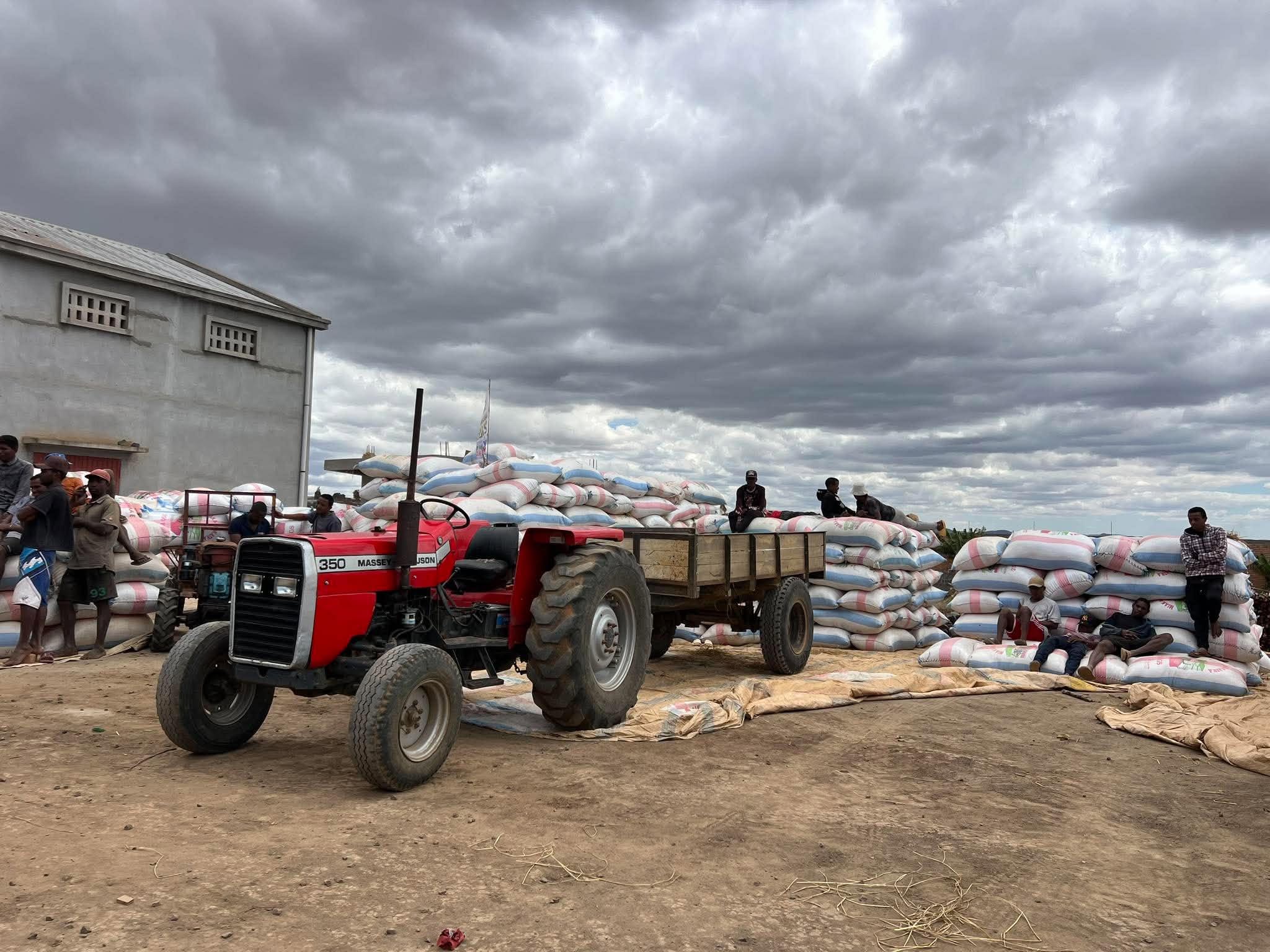 COMMERCE – La SPM SA envisage d’acheter 1 500 tonnes de paddy dans l’Alaotra